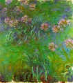 Agapanthus Claude Monet Impresionismo Flores